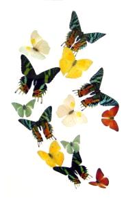 12x18doradofeb200603