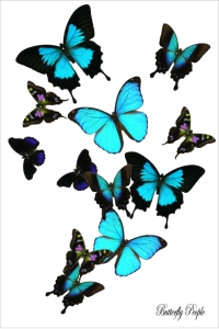 WEBSITE 12x18x3 designes